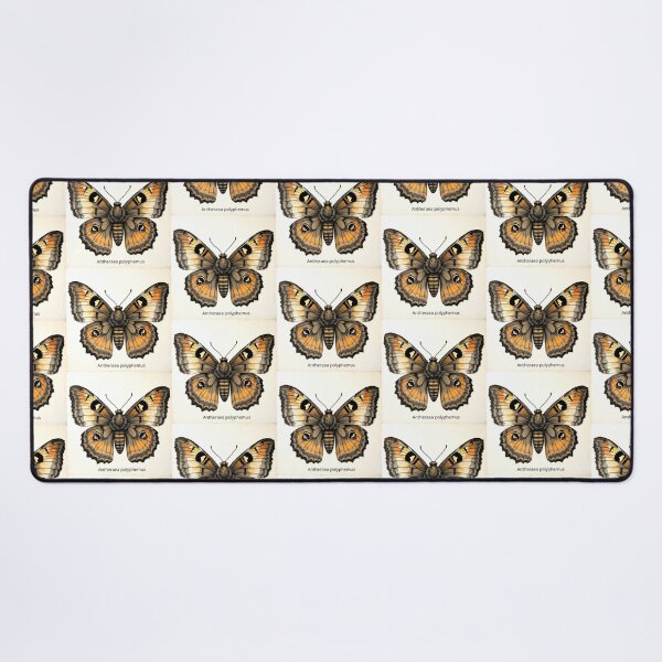 Item preview, Moth Specimen No. 001:  Antheraea polyphemus designed and sold by FaerieFusion.