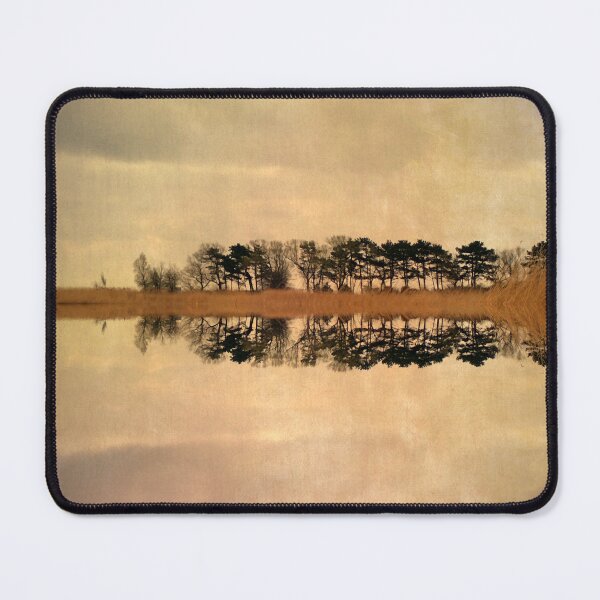 Item preview, Shoreline Reflections designed and sold by Kasia Design.