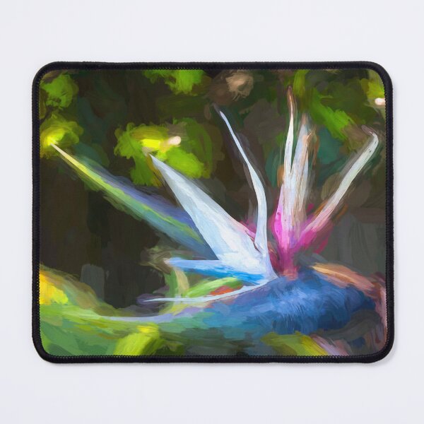Item preview, Bird Of Paradise Strelitzia Reginae X103 designed and sold by RichFrancoCars.