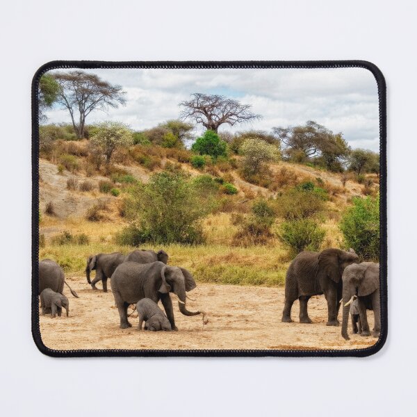 Item preview, Elephant Drill designed and sold by Kay Brewer.
