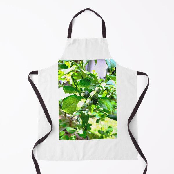 Item preview, Young oranges on tree designed and sold by doctorezzo.