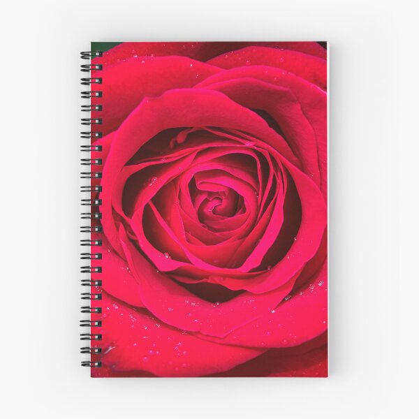 Item preview, BIG Red Red Rose X100 designed and sold by RichFrancoCars.