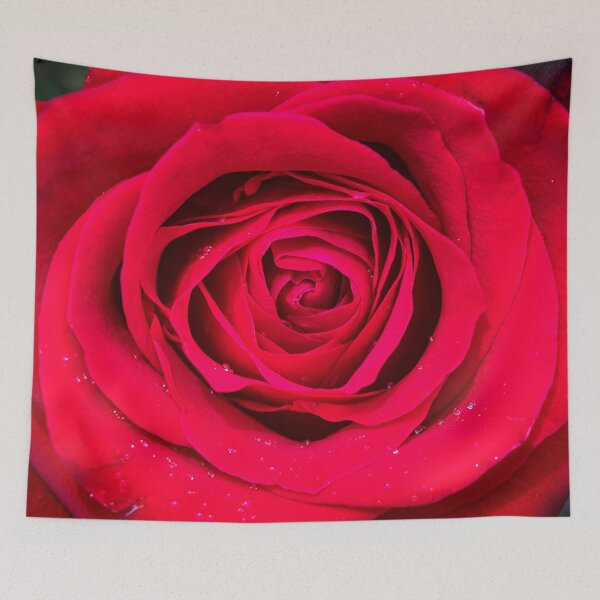 Item preview, BIG Red Red Rose X100 designed and sold by RichFrancoCars.