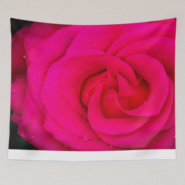 Item preview, BIG Red Red Rose B&W X105 designed and sold by RichFrancoCars.