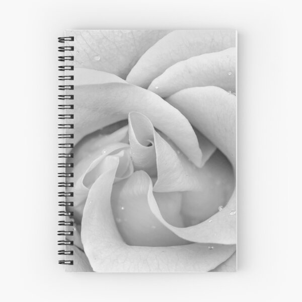 Item preview, BIG Red Red Rose B&W X107 designed and sold by RichFrancoCars.