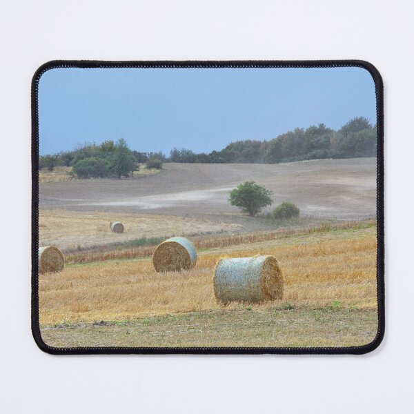 Item preview, Last Days of Summer designed and sold by Kasia Design.
