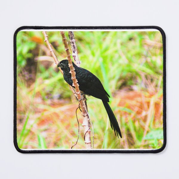 Item preview, Hla black ani designed and sold by pcfyi.