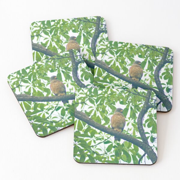 Item preview, Ala Roadside Hawk designed and sold by pcfyi.