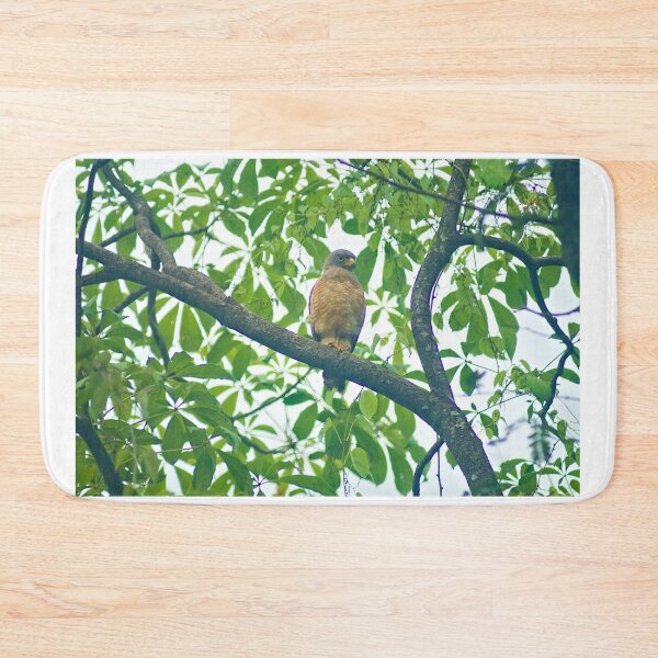 Item preview, Ala Roadside Hawk designed and sold by pcfyi.