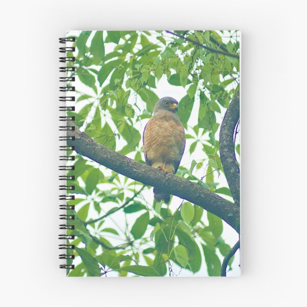 Item preview, Ala Roadside Hawk designed and sold by pcfyi.