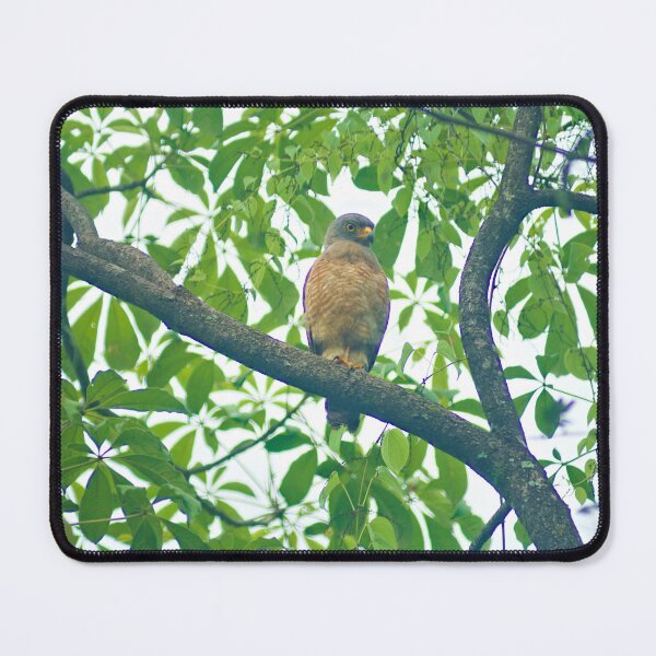 Item preview, Ala Roadside Hawk designed and sold by pcfyi.