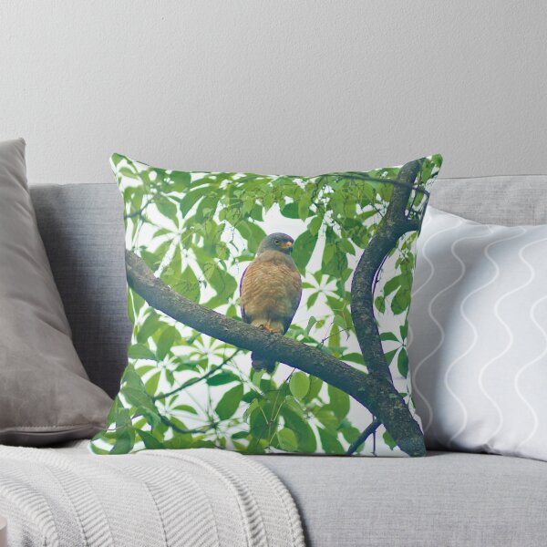 Item preview, Ala Roadside Hawk designed and sold by pcfyi.