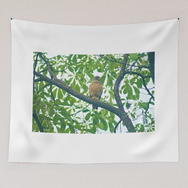 Item preview, Ala Roadside Hawk designed and sold by pcfyi.