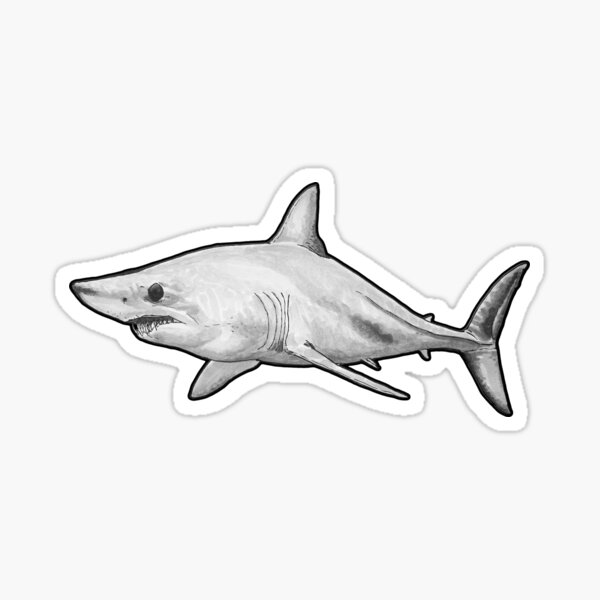 Vista previa del artículo con la obra «Tiburón marrajo dientuso (Isurus oxyrinchus)», diseñado y vendido por ItalianElephant.
