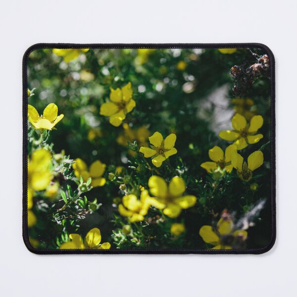 Item preview, Yellow Petal in the Garden designed and sold by Cayton Cox.