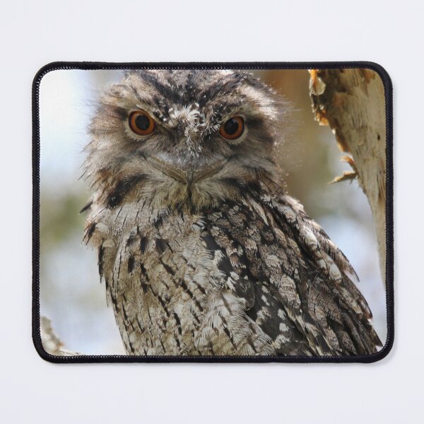 Item preview, Tawny Frogmouth designed and sold by Stingray.