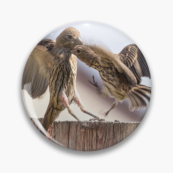 Item preview, Finches Having a Disagreement designed and sold by CarolM.