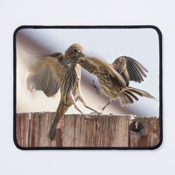 Item preview, Finches Having a Disagreement designed and sold by CarolM.