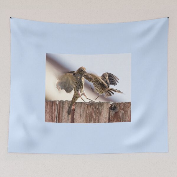 Item preview, Finches Having a Disagreement designed and sold by CarolM.