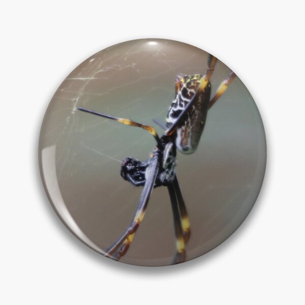 Artikelvorschau, Golden Orb Spider entworfen und verkauft von Stingray.