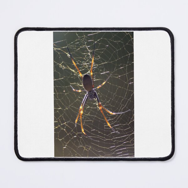 Item preview, Orb Web designed and sold by Stingray.