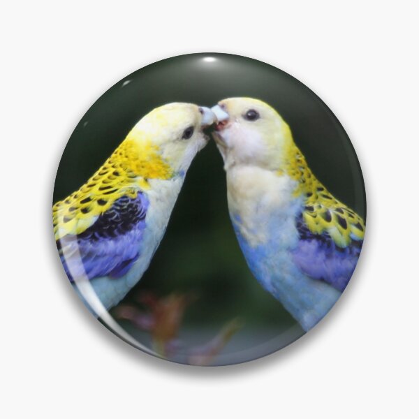 Artikelvorschau, Pale-headed Rosella's feeding entworfen und verkauft von Stingray.