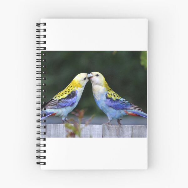 Item preview, Pale-headed Rosella's feeding designed and sold by Stingray.