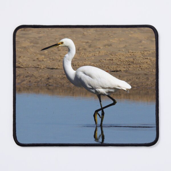 Item preview, Little Egret Reflects designed and sold by Stingray.