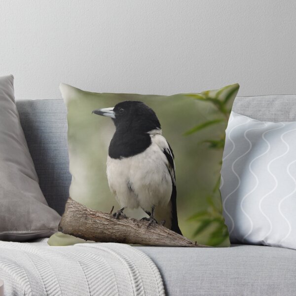 Item preview, Pied Butcherbird designed and sold by Stingray.