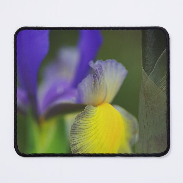 Item preview, Iris Dreams Of Growing Up designed and sold by Joy Watson - Natural Light Photography .