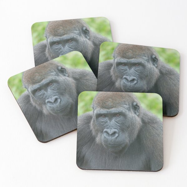 Item preview, Soulful Eyes of Gorilla Shufai designed and sold by rawshutterbug.