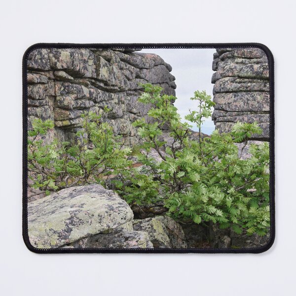 Item preview, Rowans at the top. Pyha Nattanen 9 designed and sold by Jouko Lehto Photography.