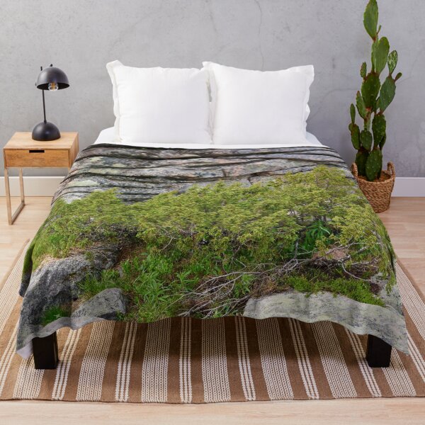 Item preview, Juniper wall. Pyha Nattanen 10 designed and sold by Jouko Lehto Photography.
