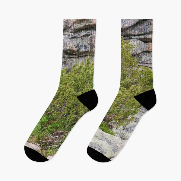 Item preview, Juniper wall. Pyha Nattanen 10 designed and sold by Jouko Lehto Photography.