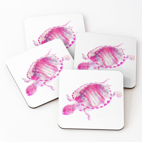 Item preview, Diaphonized Turtle designed and sold by mikeim23.