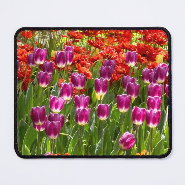 Item preview, Tulipán morado designed and sold by yunee.