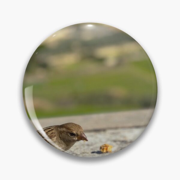 Item preview, Sparrow eating cake designed and sold by Graz-Photos.
