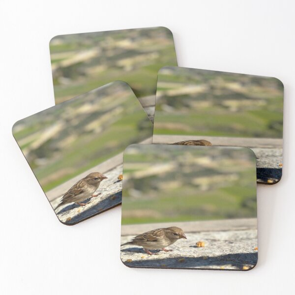 Item preview, Sparrow eating cake designed and sold by Graz-Photos.