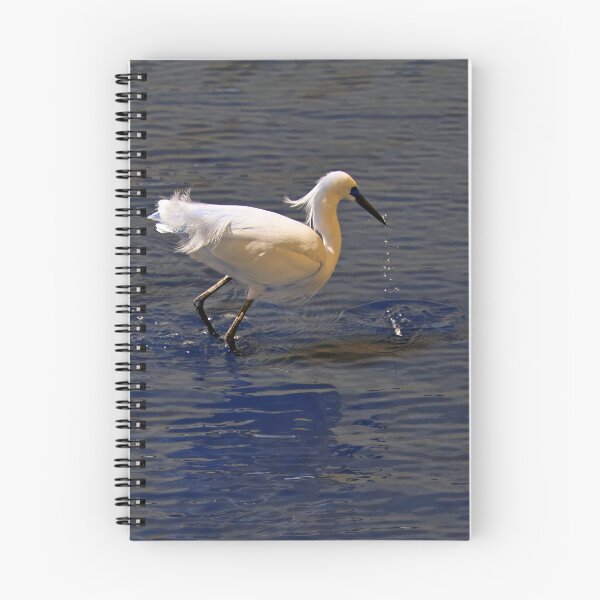 Item preview, Egret in Water designed and sold by bertsworks300.