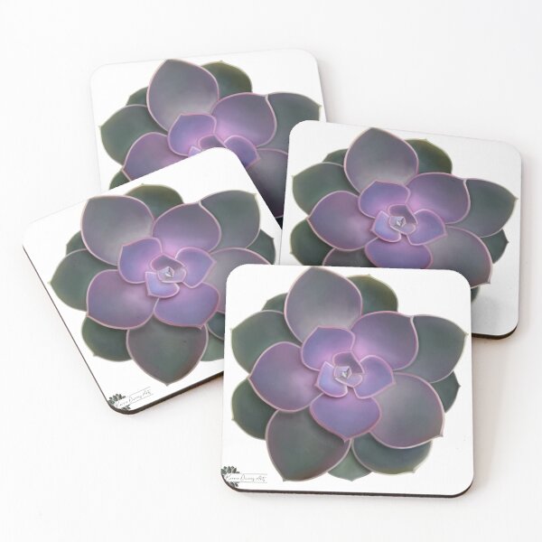 Item preview, Dark purple to green ombré whole succulent. designed and sold by Kerrie Owens.