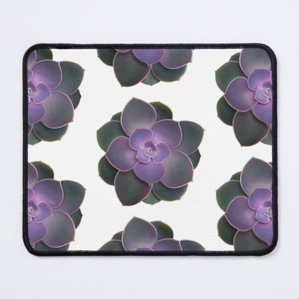 Item preview, Dark purple to green ombré whole succulent. designed and sold by Kerrie Owens.