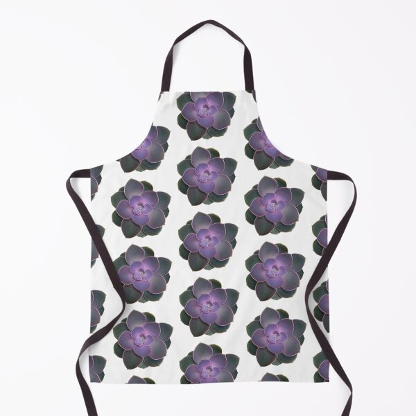 Item preview, Dark purple to green ombré whole succulent. designed and sold by Kerrie Owens.