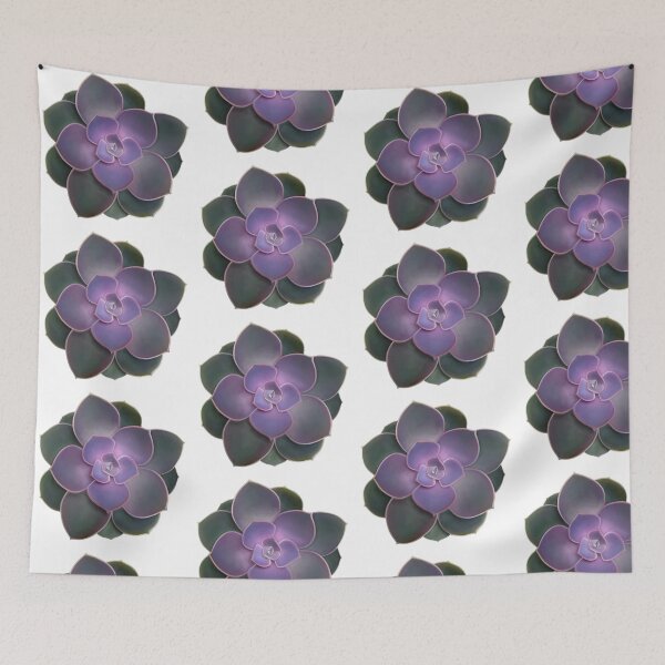 Item preview, Dark purple to green ombré whole succulent. designed and sold by Kerrie Owens.