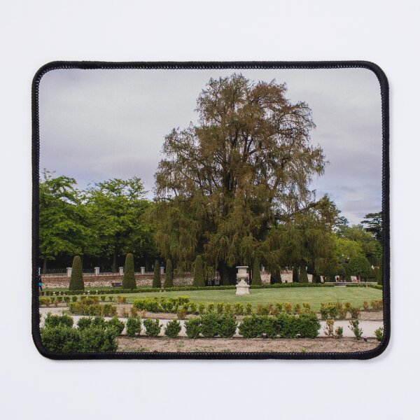 Item preview, Majestic Tree in a Manicured Garden designed and sold by Mel Moreno.