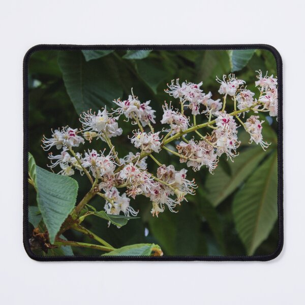 Item preview, Blooming Horse Chestnut Flower designed and sold by Mel Moreno.