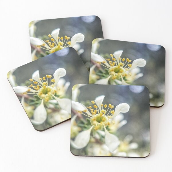 Item preview, Prunus designed and sold by Jason Tompkins.