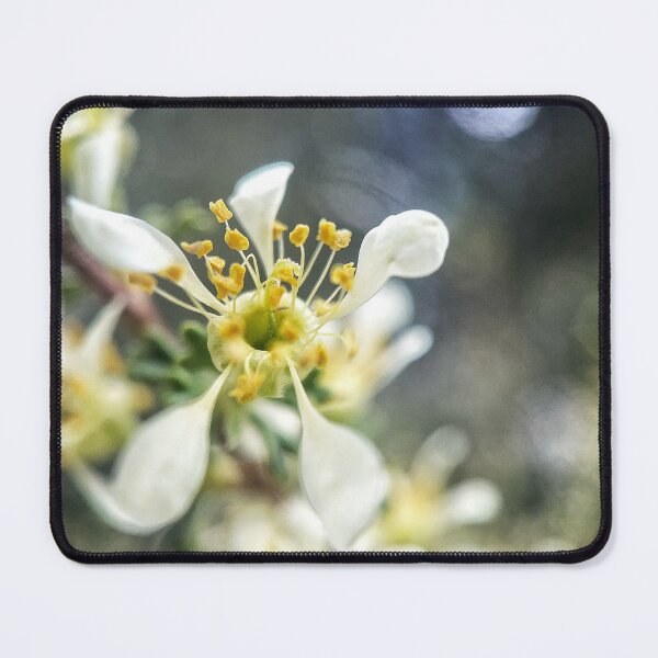 Item preview, Prunus designed and sold by Jason Tompkins.