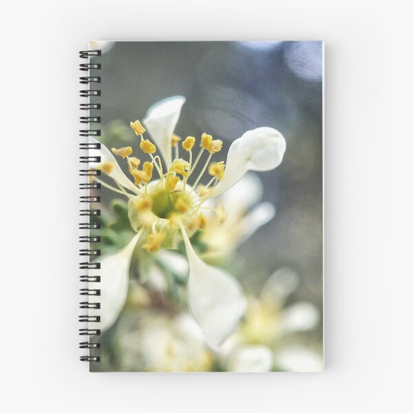 Item preview, Prunus designed and sold by Jason Tompkins.