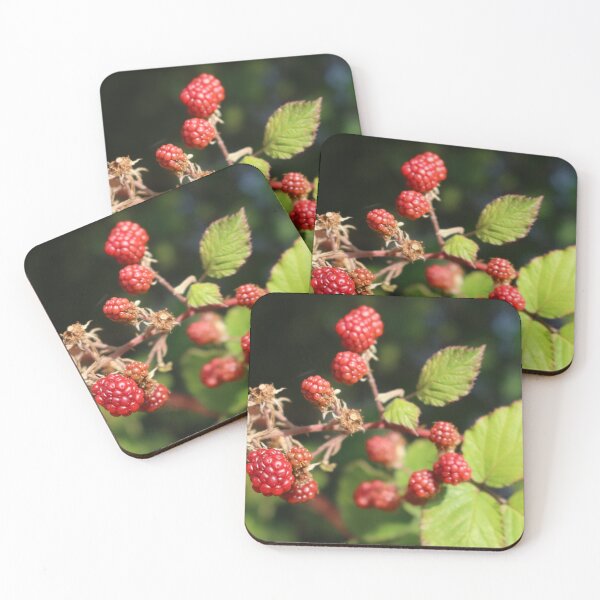 Item preview, Raspberry Picking  designed and sold by RT-FlowerShop.
