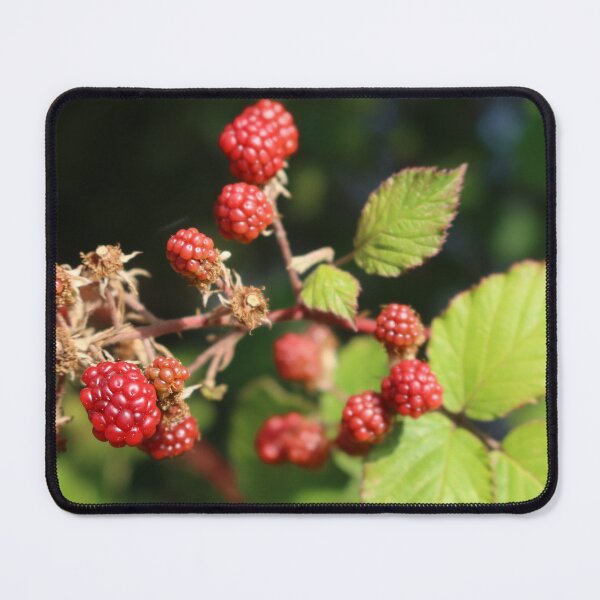 Item preview, Raspberry Picking  designed and sold by RT-FlowerShop.